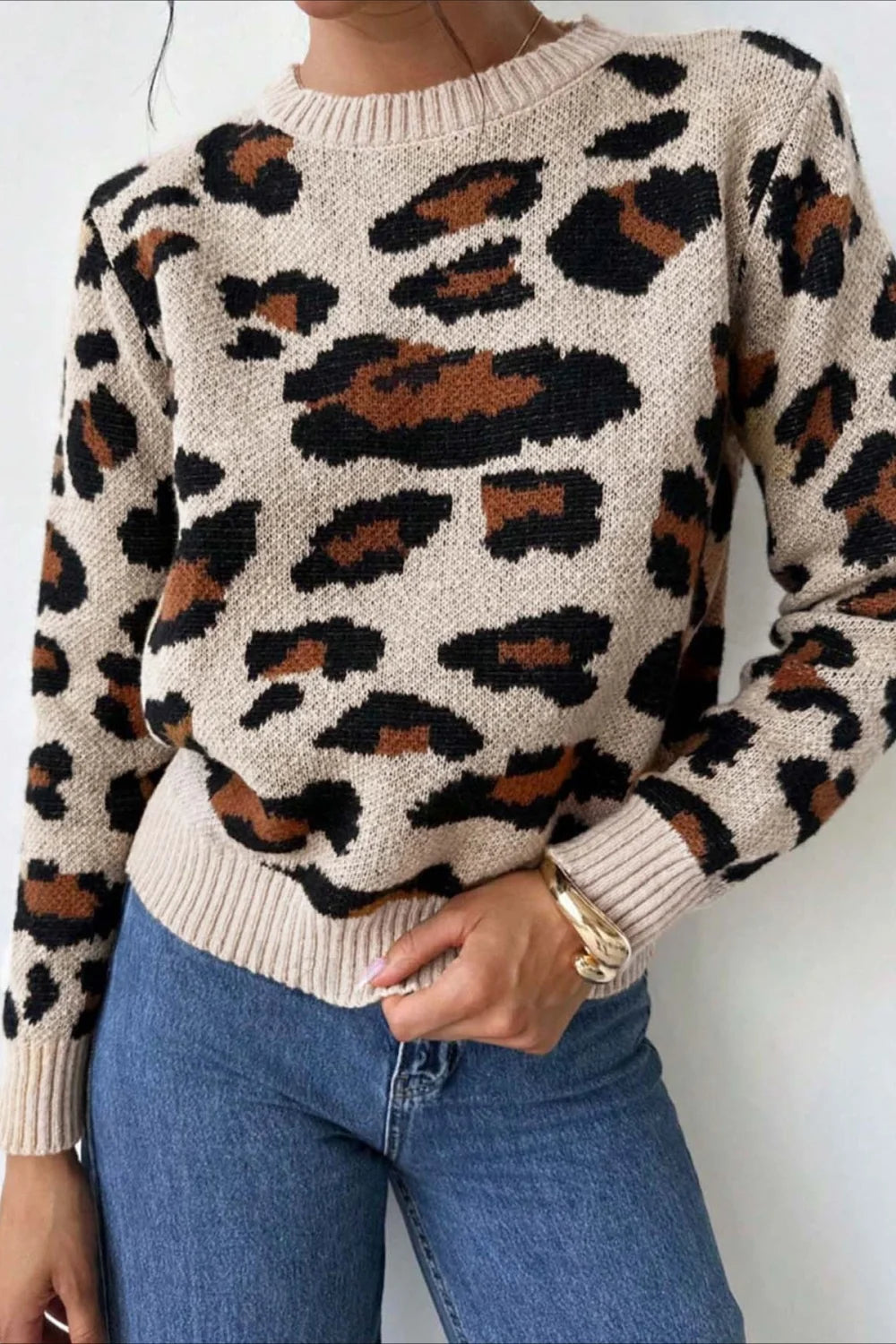 Chic tröja med färger och leopardmönster