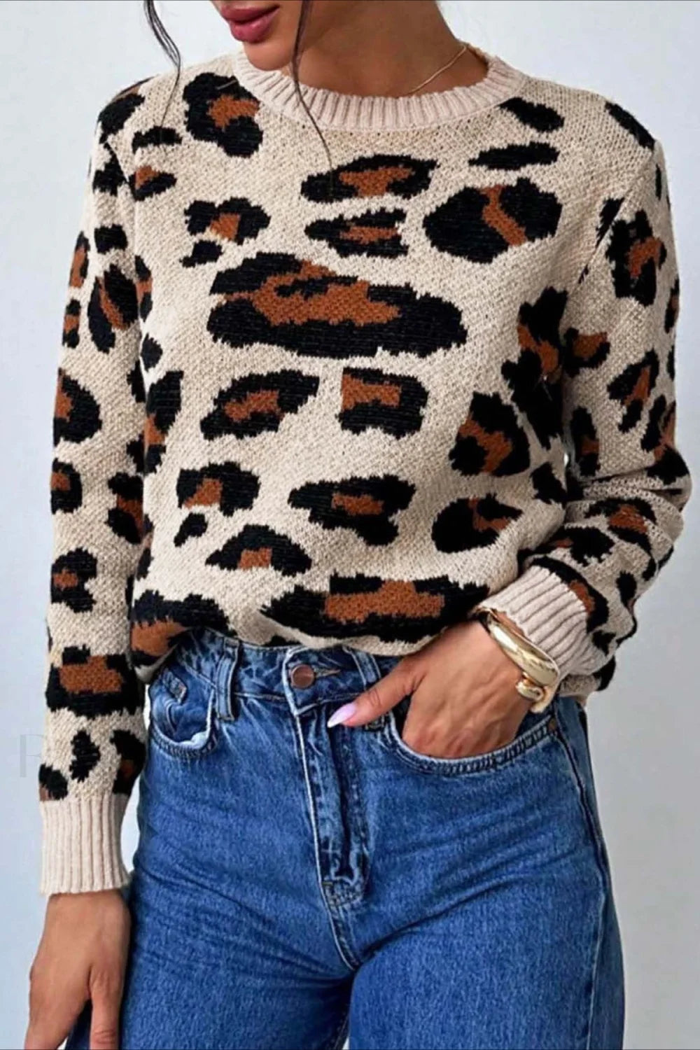 Chic tröja med färger och leopardmönster