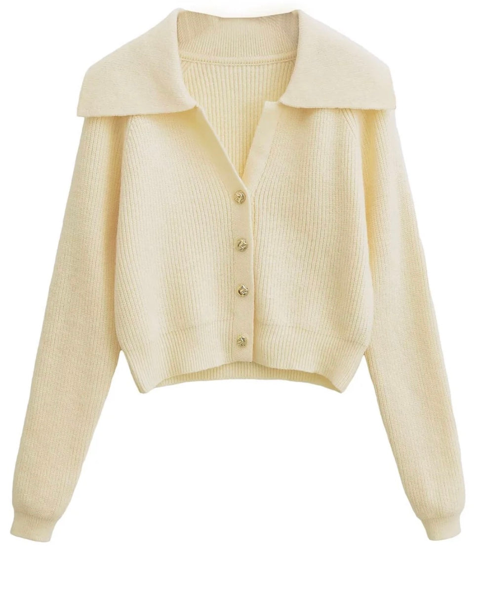 Elegant kort cardigan med krave og udsøgte detaljer