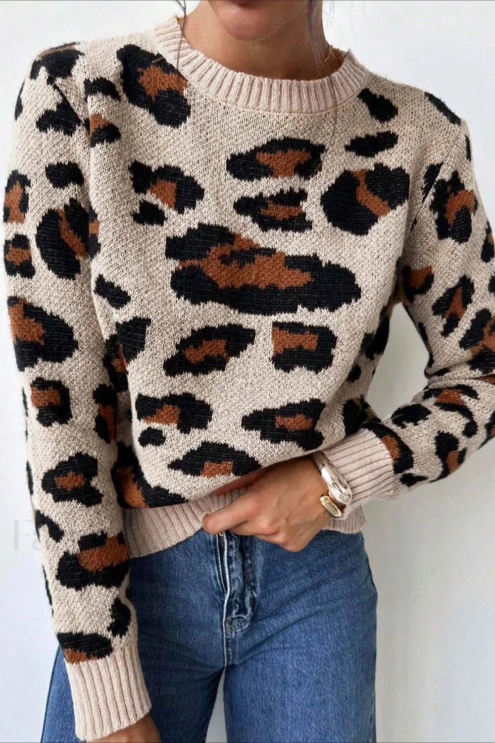 Chic tröja med färger och leopardmönster